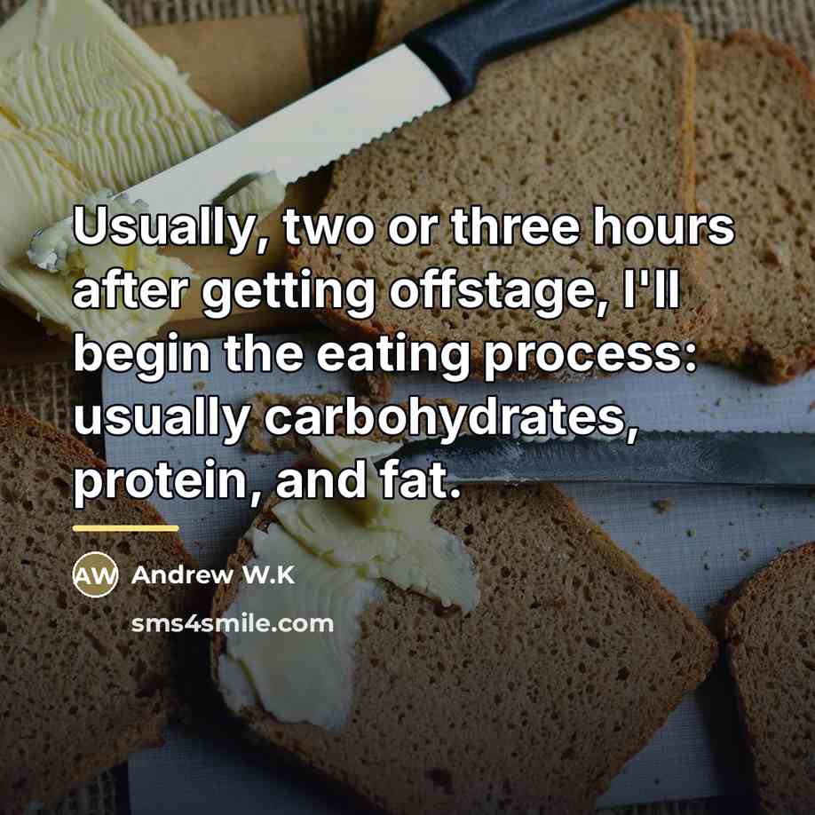 “Usually, two or three hours after getting offstage, I'll begin…” quote by Andrew W.K