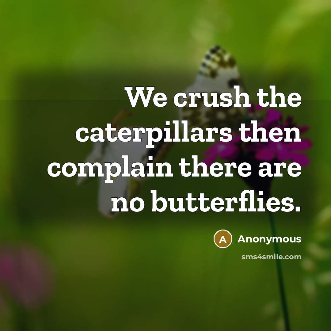 “We crush the caterpillars then complain there are no butterflies.…” quote by Anonymous