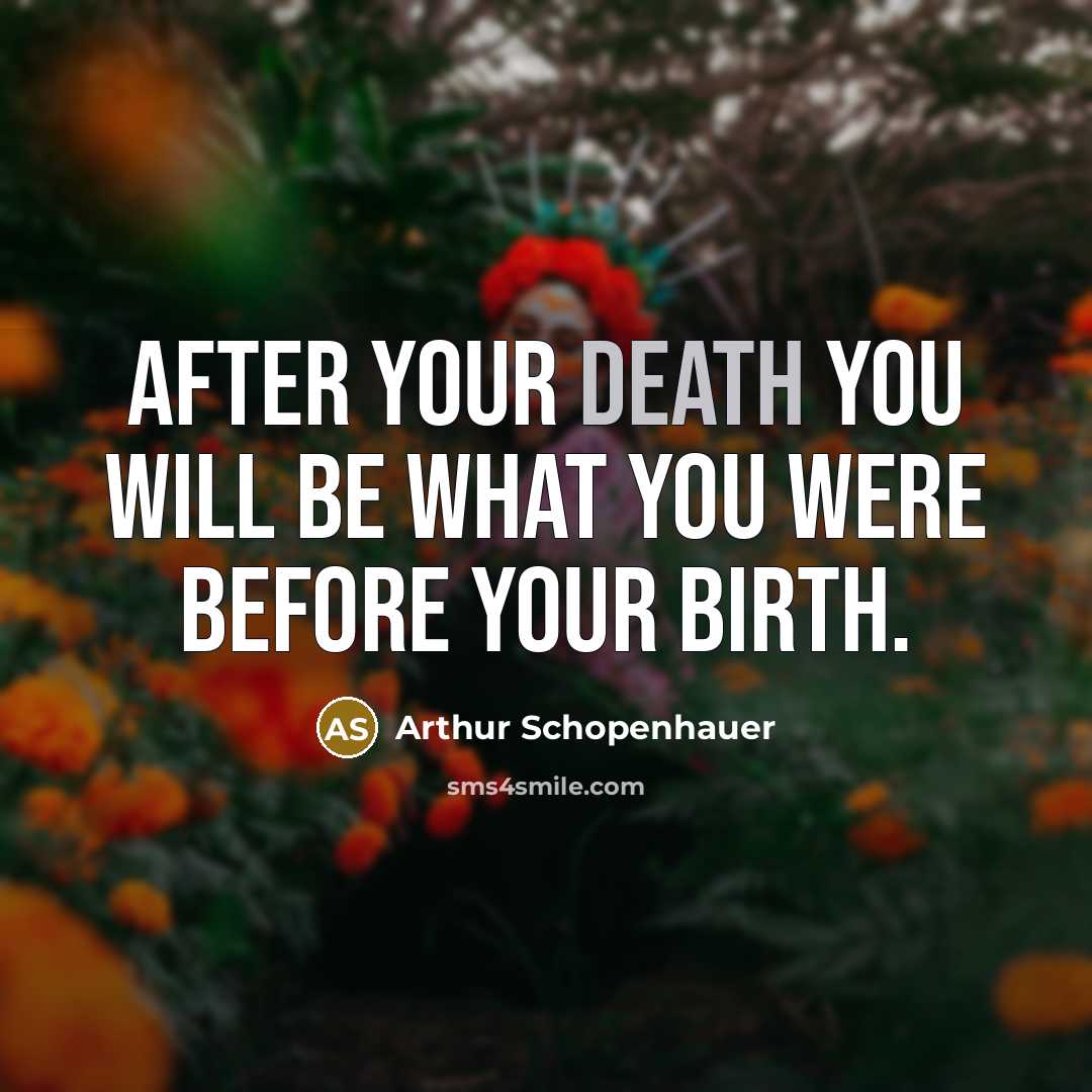 “After your death you will be what you were before…” quote by Arthur Schopenhauer