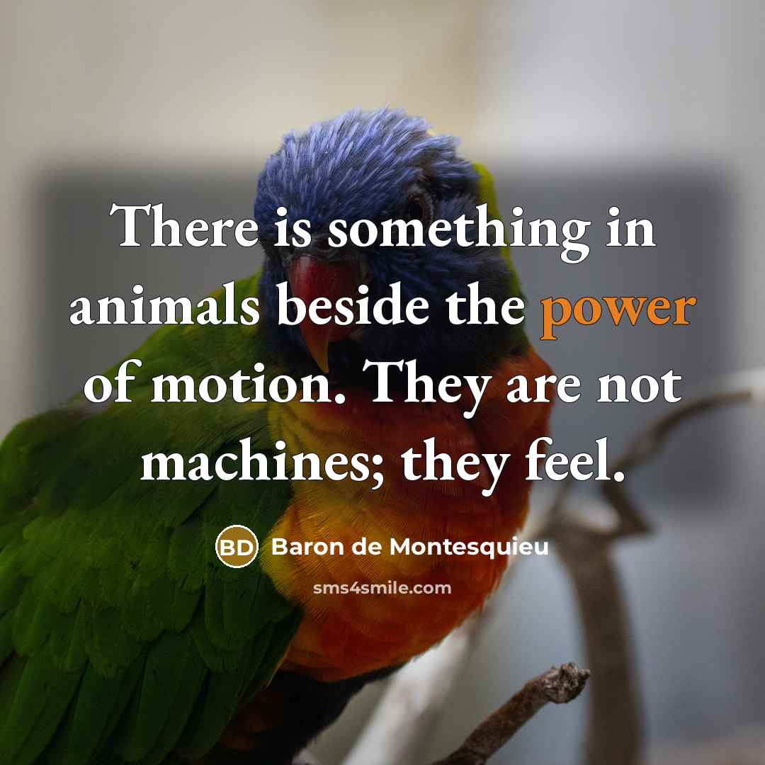 “There is something in animals beside the power of motion.…” quote by Baron de Montesquieu