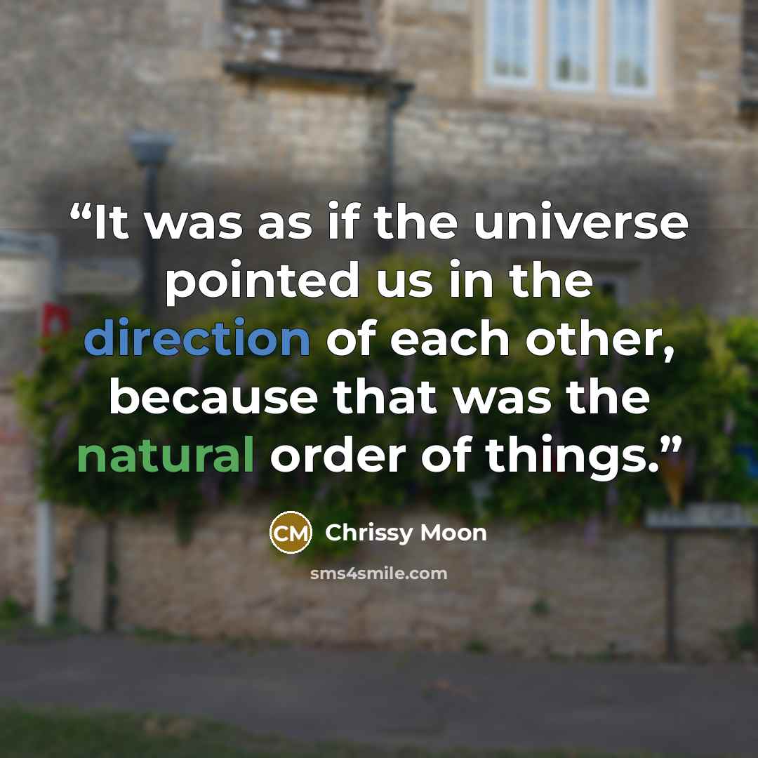 “It was as if the universe pointed us in the direction of each other, because that was the natural order of things.” quote by Chrissy Moon