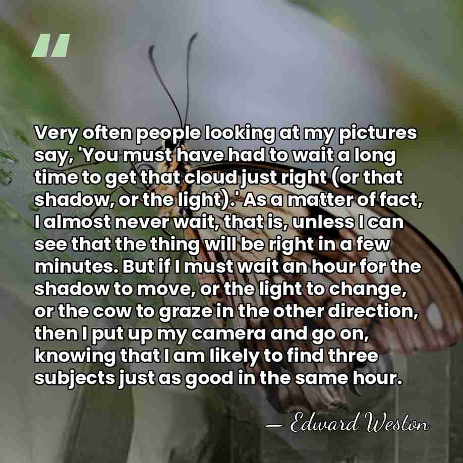 Very often people looking at my pictures say, 'You must have had&hellip; - Edward Weston