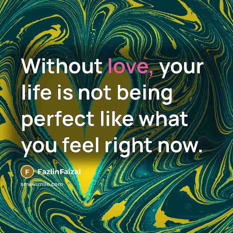 “Without love, your life is not being perfect like what you feel right now.” quote by FazlinFaizal