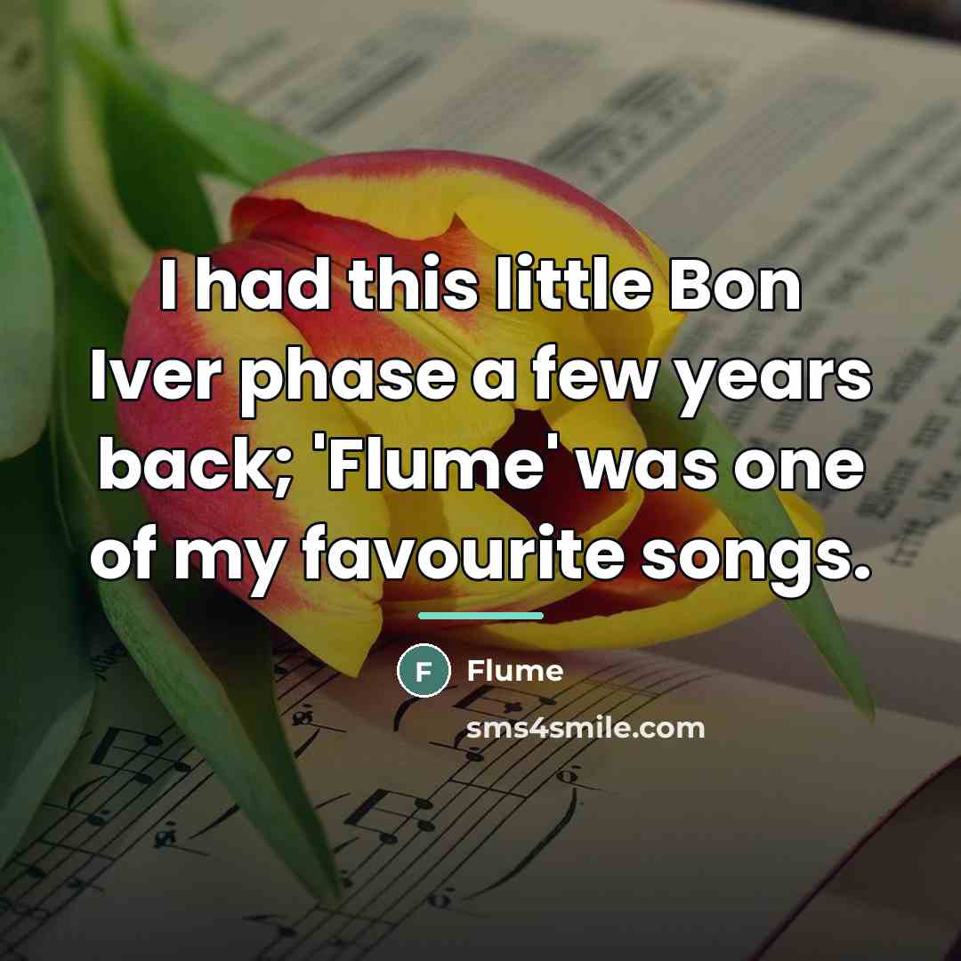 “I had this little Bon Iver phase a few years…” quote by Flume