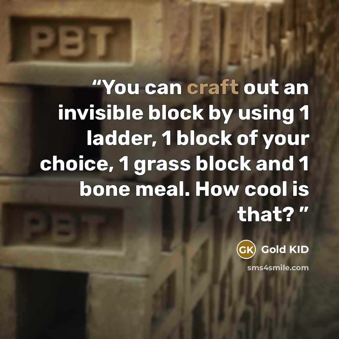 “You can craft out an invisible block by using 1 ladder, 1 block of your choice, 1 grass block and 1 bone meal. How cool is that?” quote by Gold KID