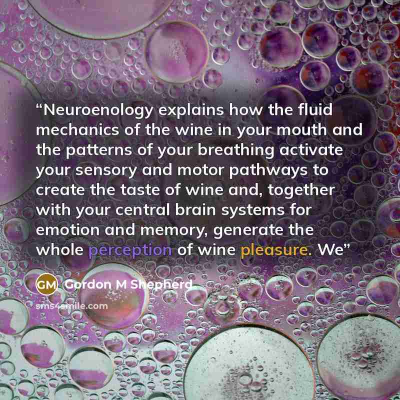 “Neuroenology explains how the fluid mechanics of the wine in your mouth and the patterns of your breathing activate your sensory and motor pathways to create the taste of wine and, together with your central brain systems for emotion and memory, generate the whole perception of wine pleasure. We” quote by Gordon M Shepherd
