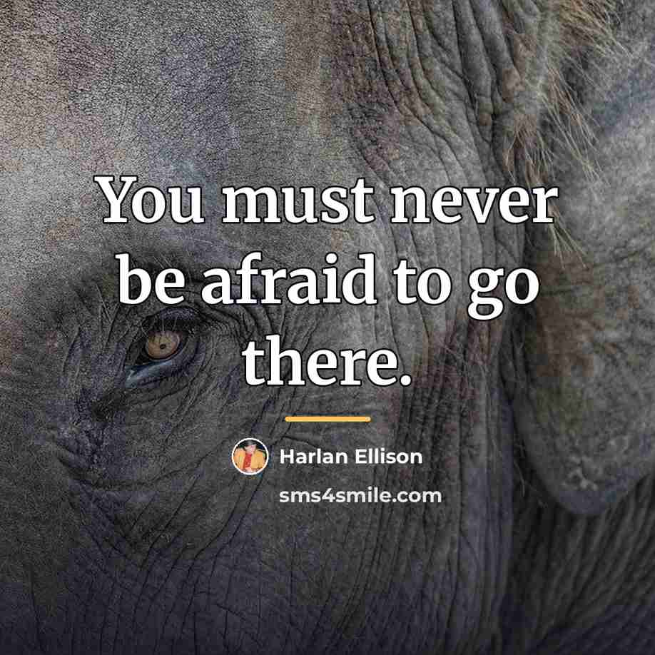 “You must never be afraid to go there.…” quote by Harlan Ellison