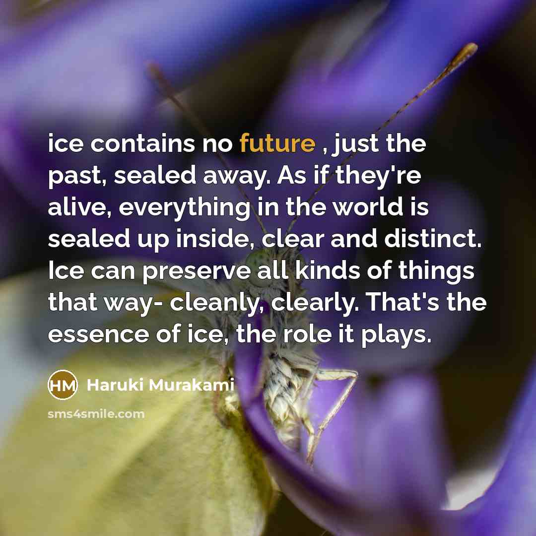 “ice contains no future , just the past, sealed away.…” quote by Haruki Murakami