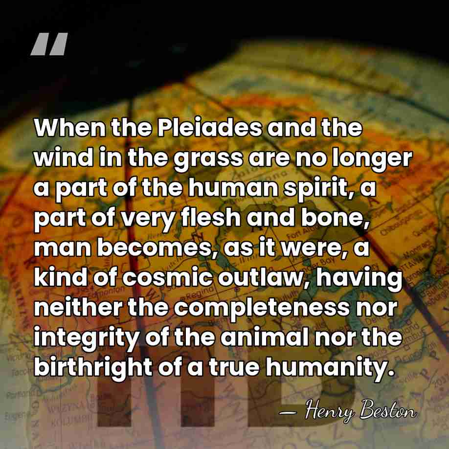 When the Pleiades and the wind in the grass are no longer&hellip; - Henry Beston