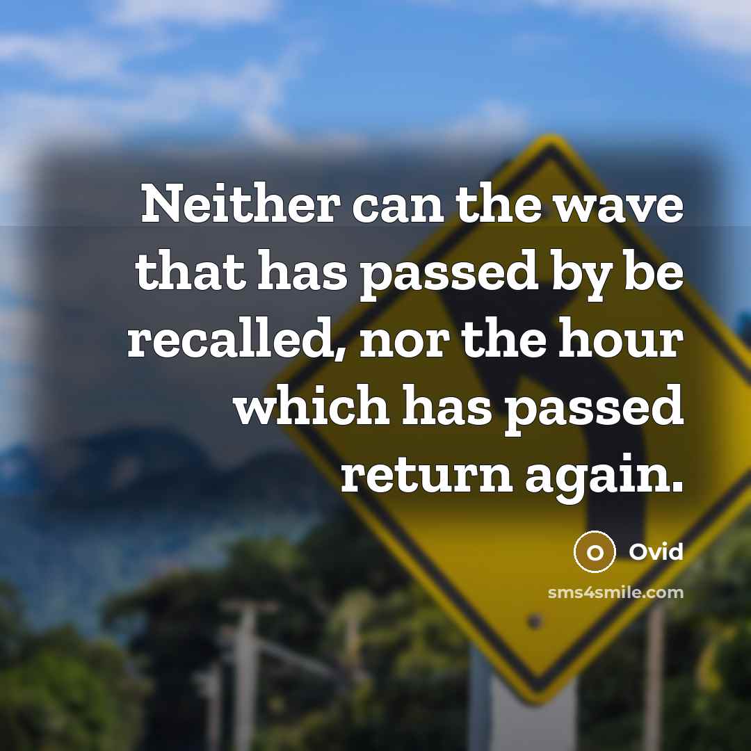 “Neither can the wave that has passed by be recalled, nor the hour which has passed return again.” quote by Ovid