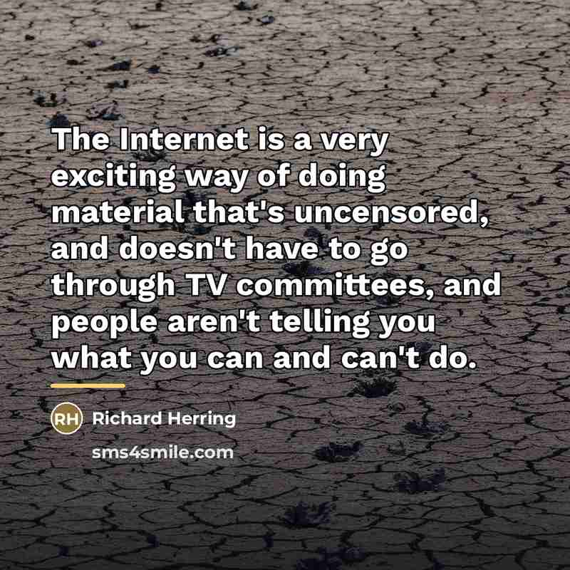 “The Internet is a very exciting way of doing material…” quote by Richard Herring