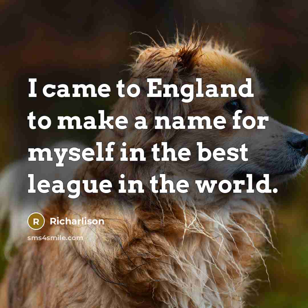 “I came to England to make a name for myself…” quote by Richarlison