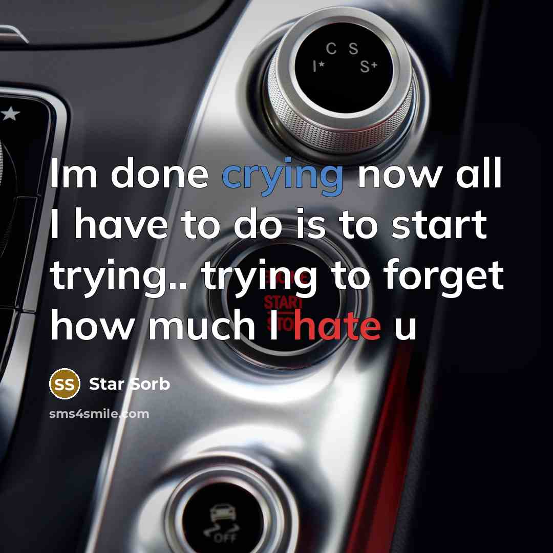 “Im done crying now all I have to do is to start trying.. trying to forget how much I hate u” quote by Star Sorb