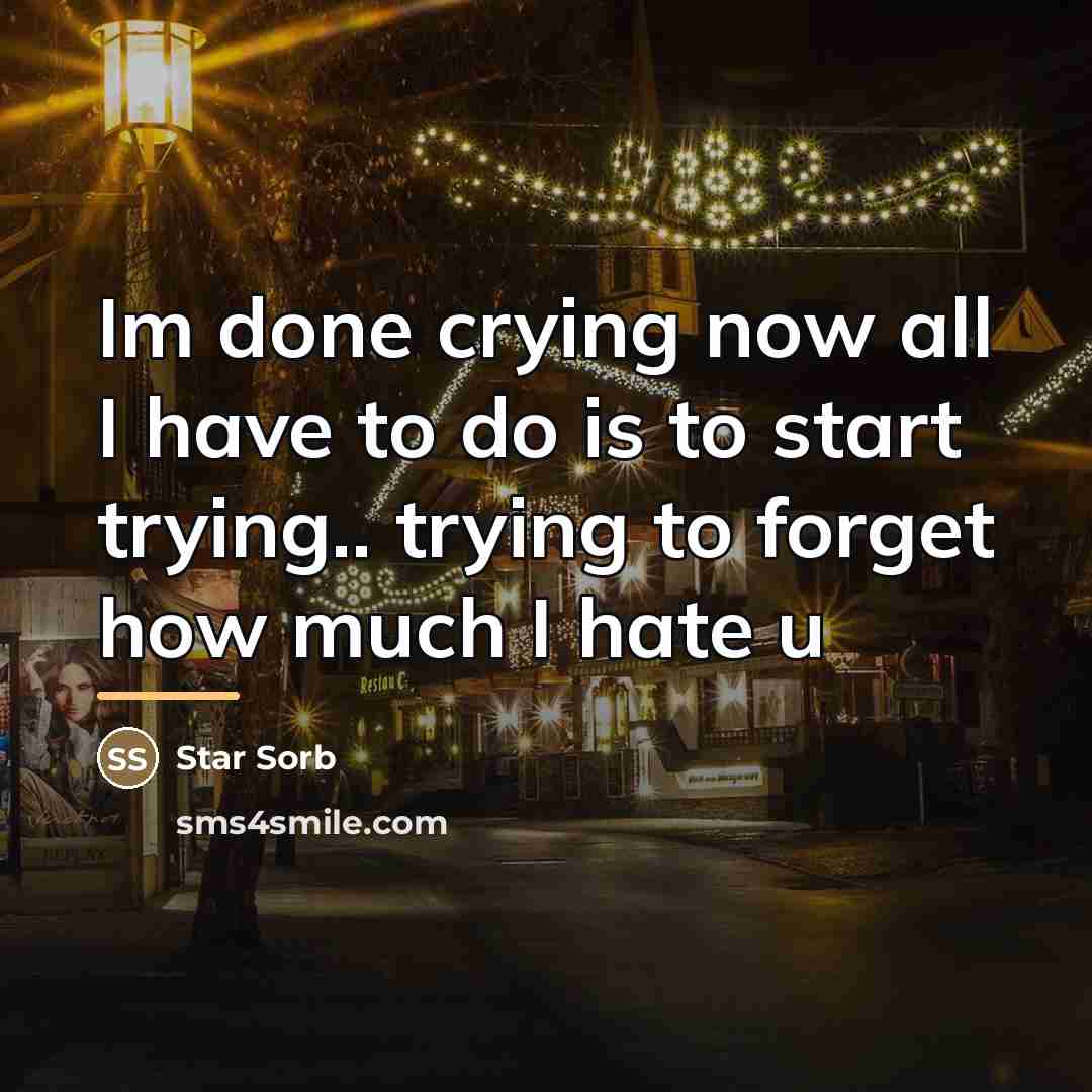 “Im done crying now all I have to do is…” quote by Star Sorb
