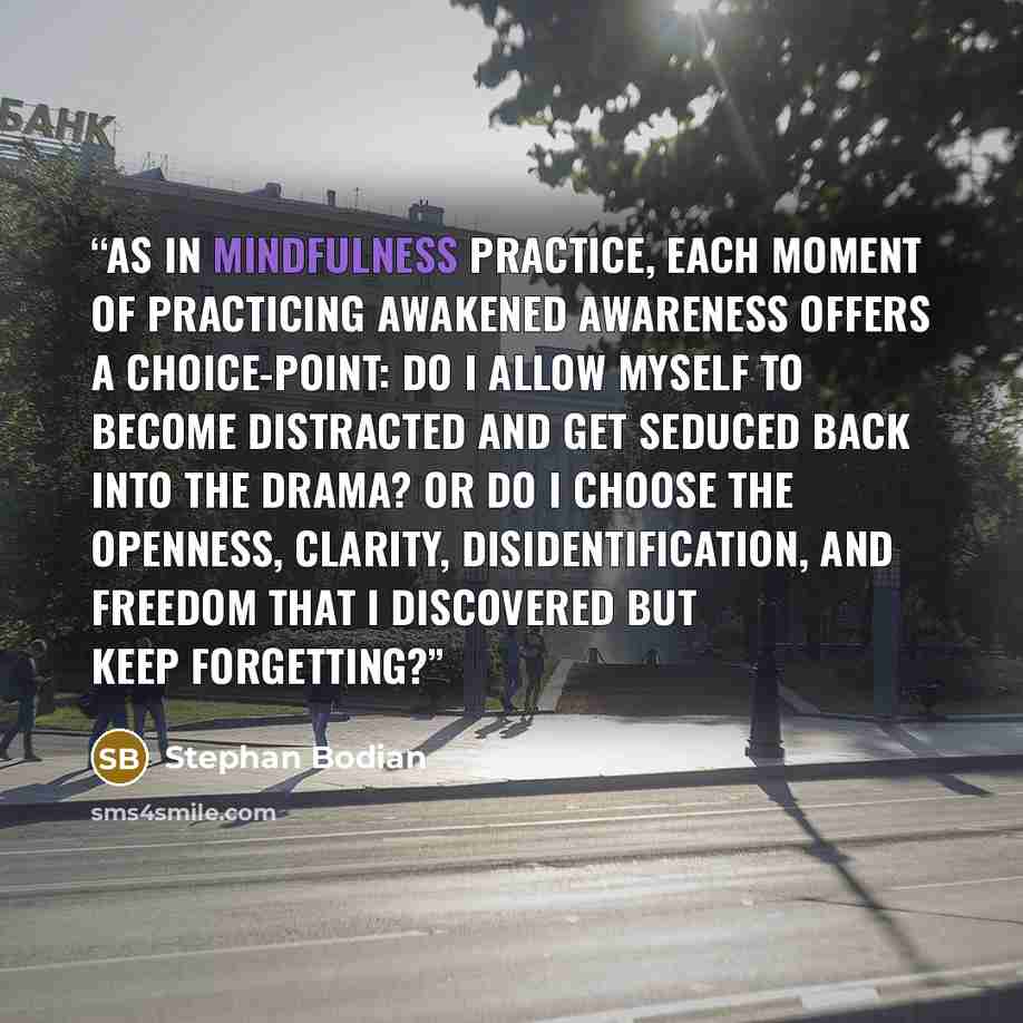 “As in mindfulness practice, each moment of practicing awakened awareness offers a choice-point: Do I allow myself to become distracted and get seduced back into the drama? Or do I choose the openness, clarity, disidentification, and freedom that I discovered but keep forgetting?” quote by Stephan Bodian