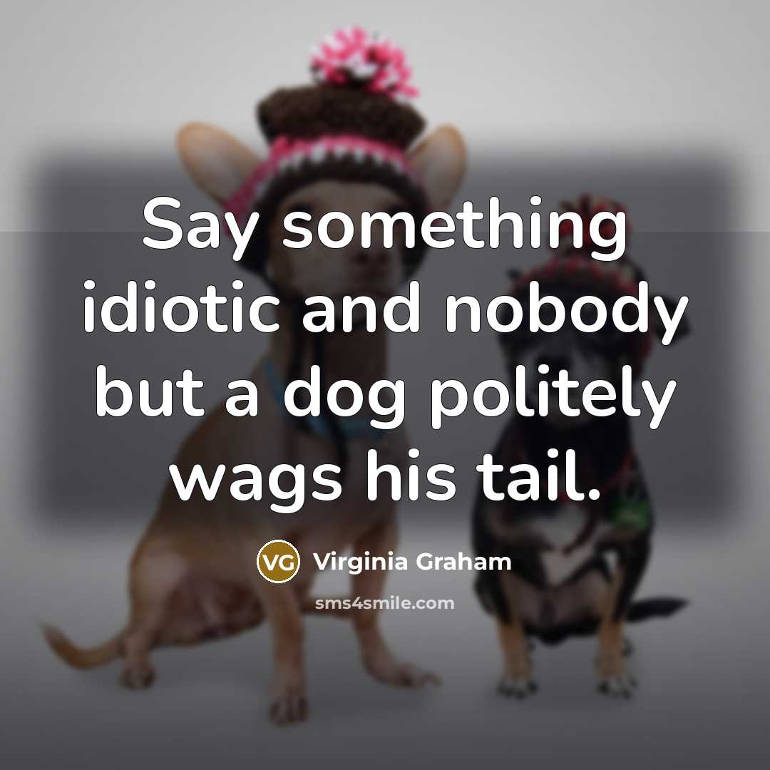 “Say something idiotic and nobody but a dog politely wags his tail.” quote by Virginia Graham