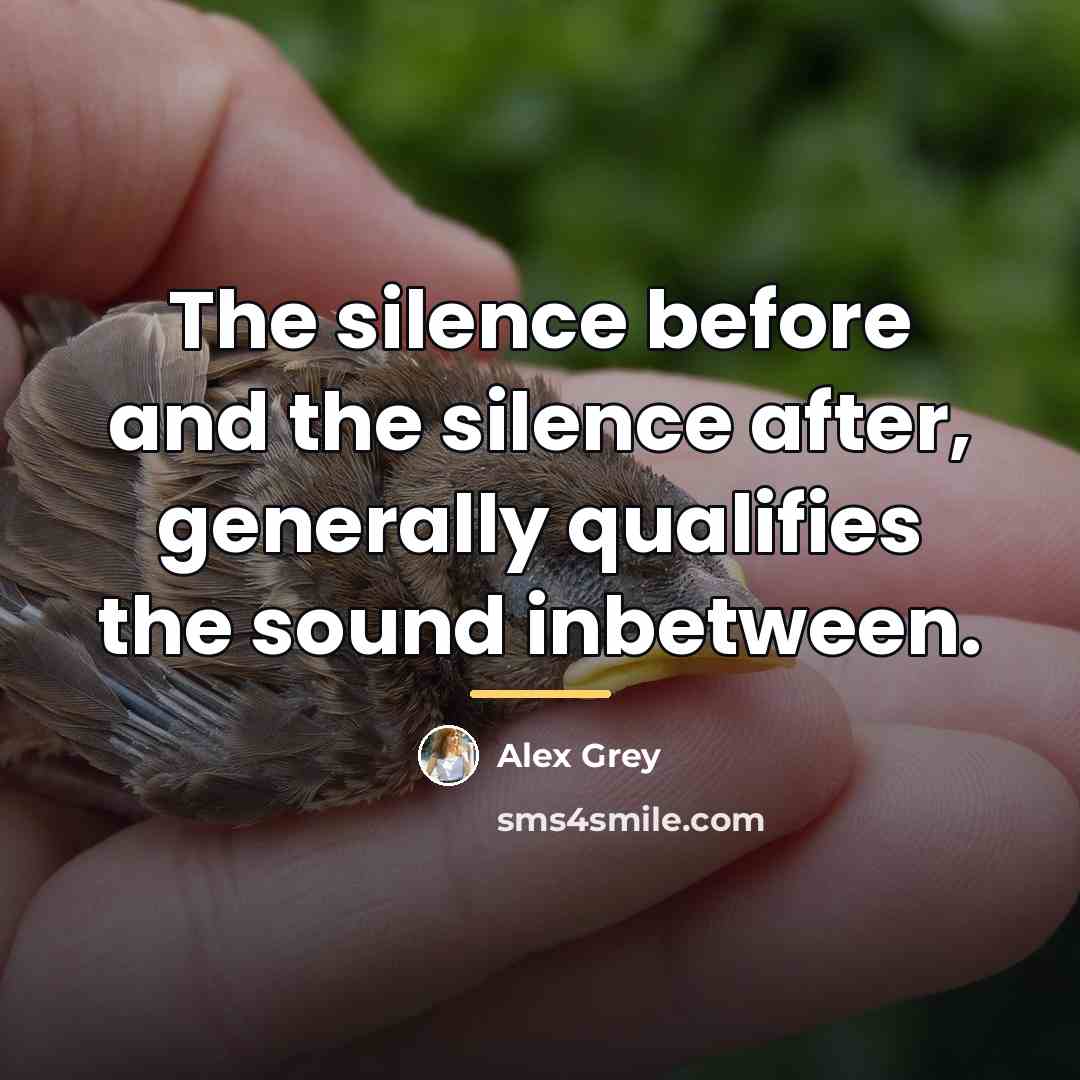 “The silence before and the silence after, generally qualifies the…” quote by Alex Grey
