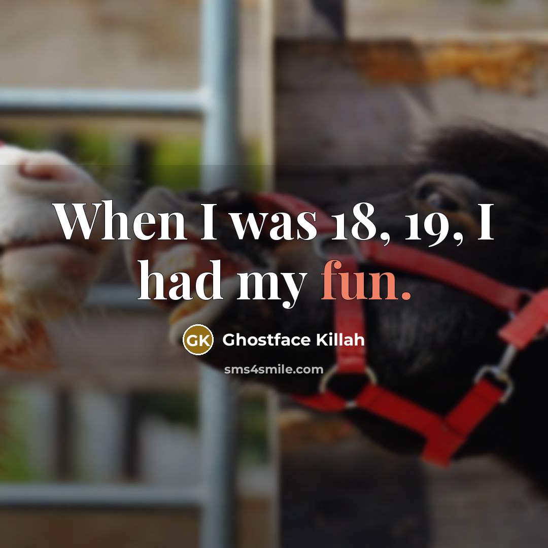 “When I was 18, 19, I had my fun.…” quote by Ghostface Killah
