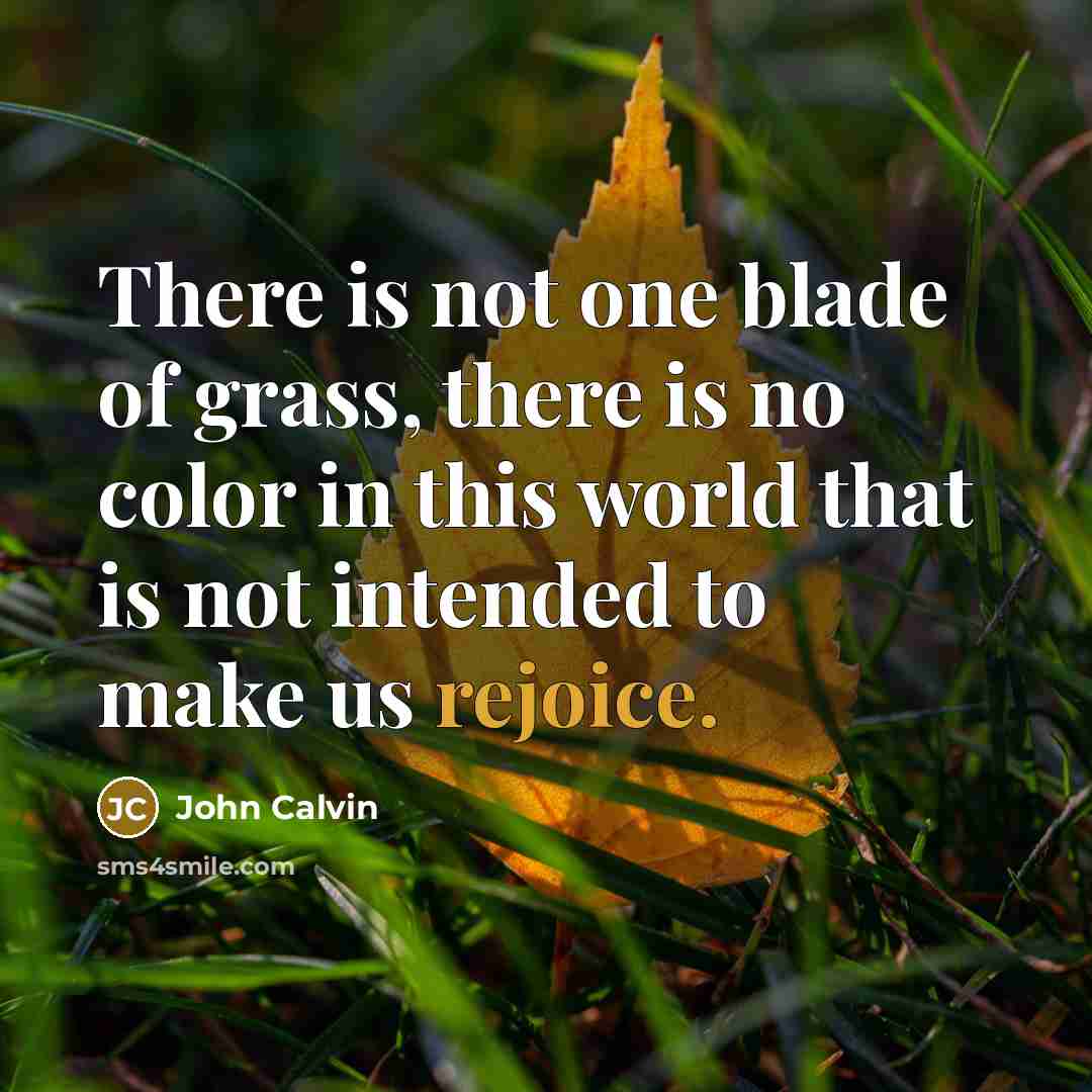 “There is not one blade of grass, there is no…” quote by John Calvin