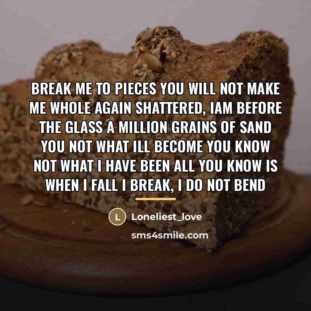 “Break me to pieces you will not make me whole…” quote by Loneliest_love