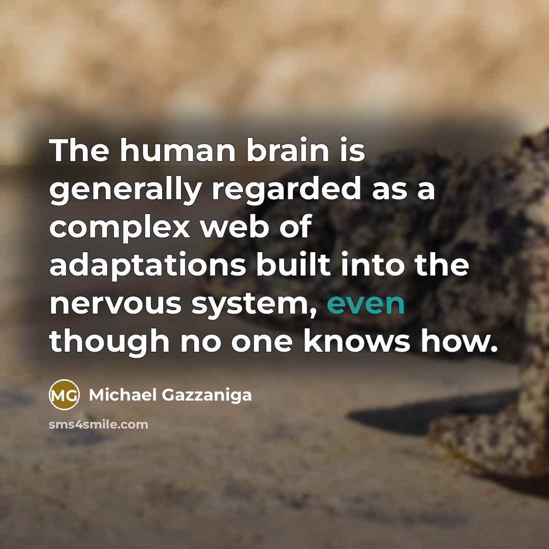 “The human brain is generally regarded as a complex web…” quote by Michael Gazzaniga