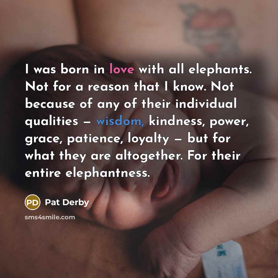 “I was born in love with all elephants. Not for…” quote by Pat Derby
