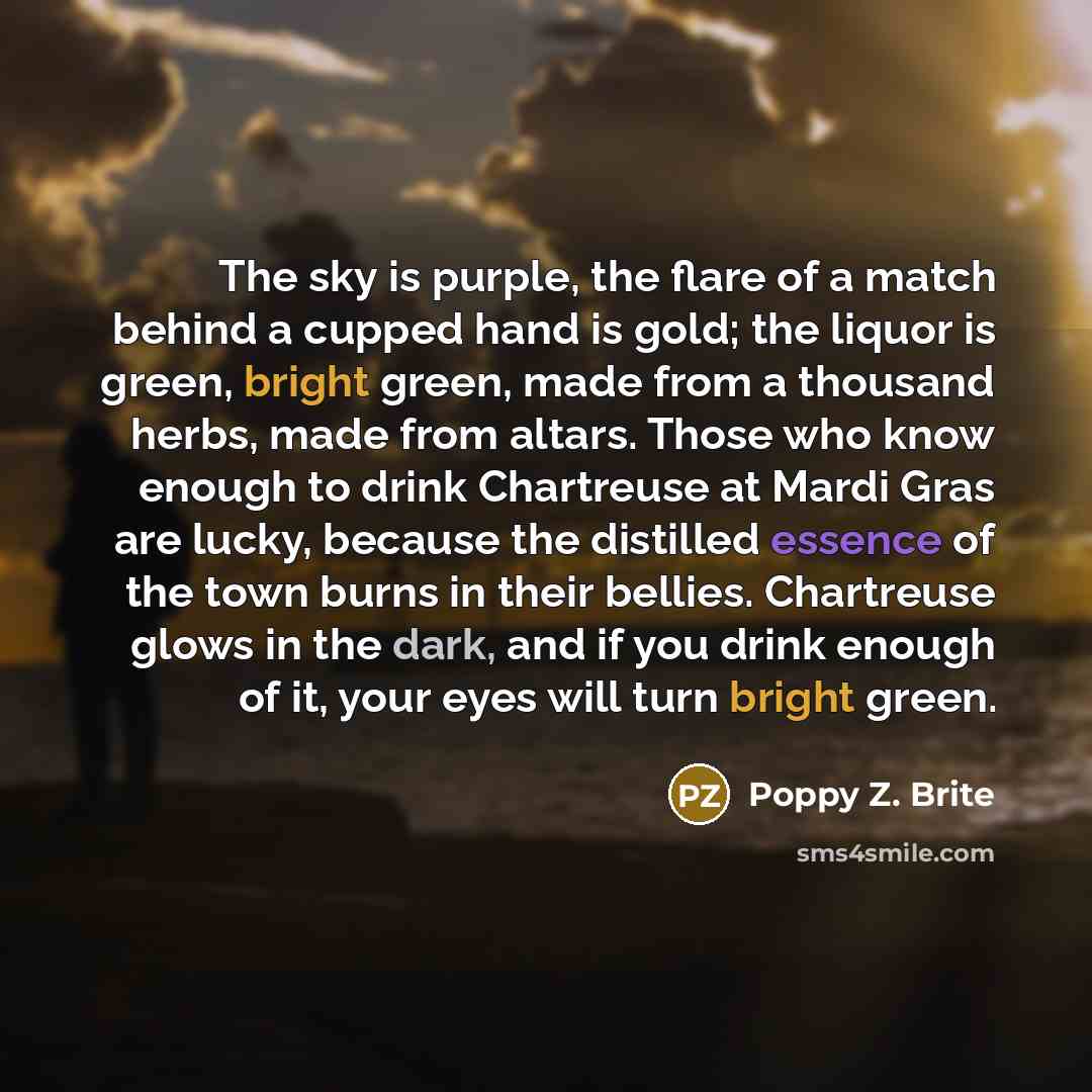“The sky is purple, the flare of a match behind…” quote by Poppy Z. Brite