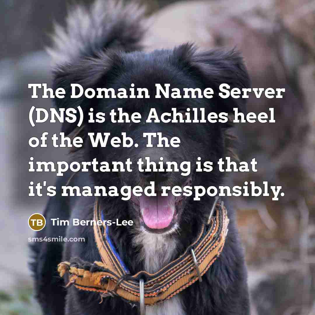 “The Domain Name Server (DNS) is the Achilles heel of…” quote by Tim Berners-Lee