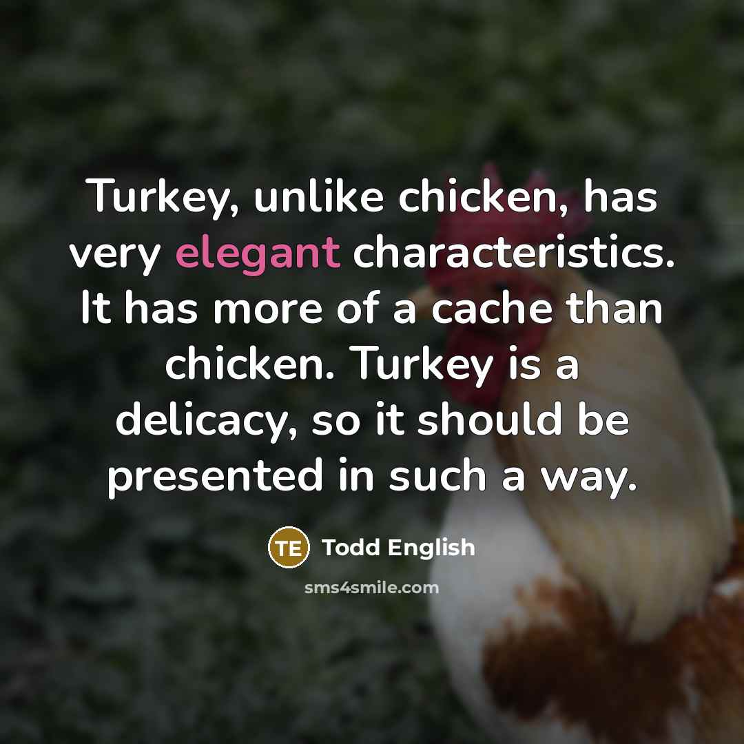 “Turkey, unlike chicken, has very elegant characteristics. It has more…” quote by Todd English
