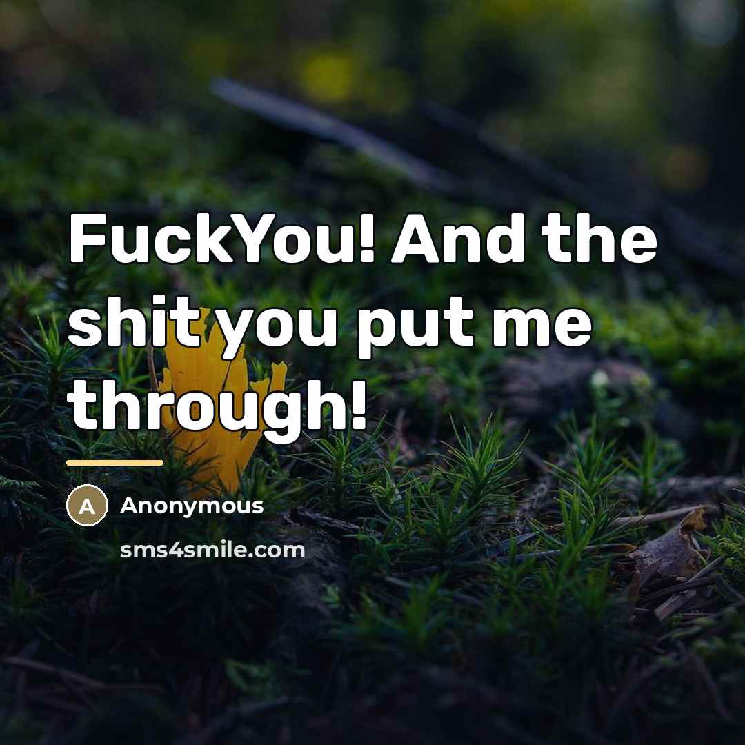 “FuckYou! And the shit you put me through!…” quote by Anonymous