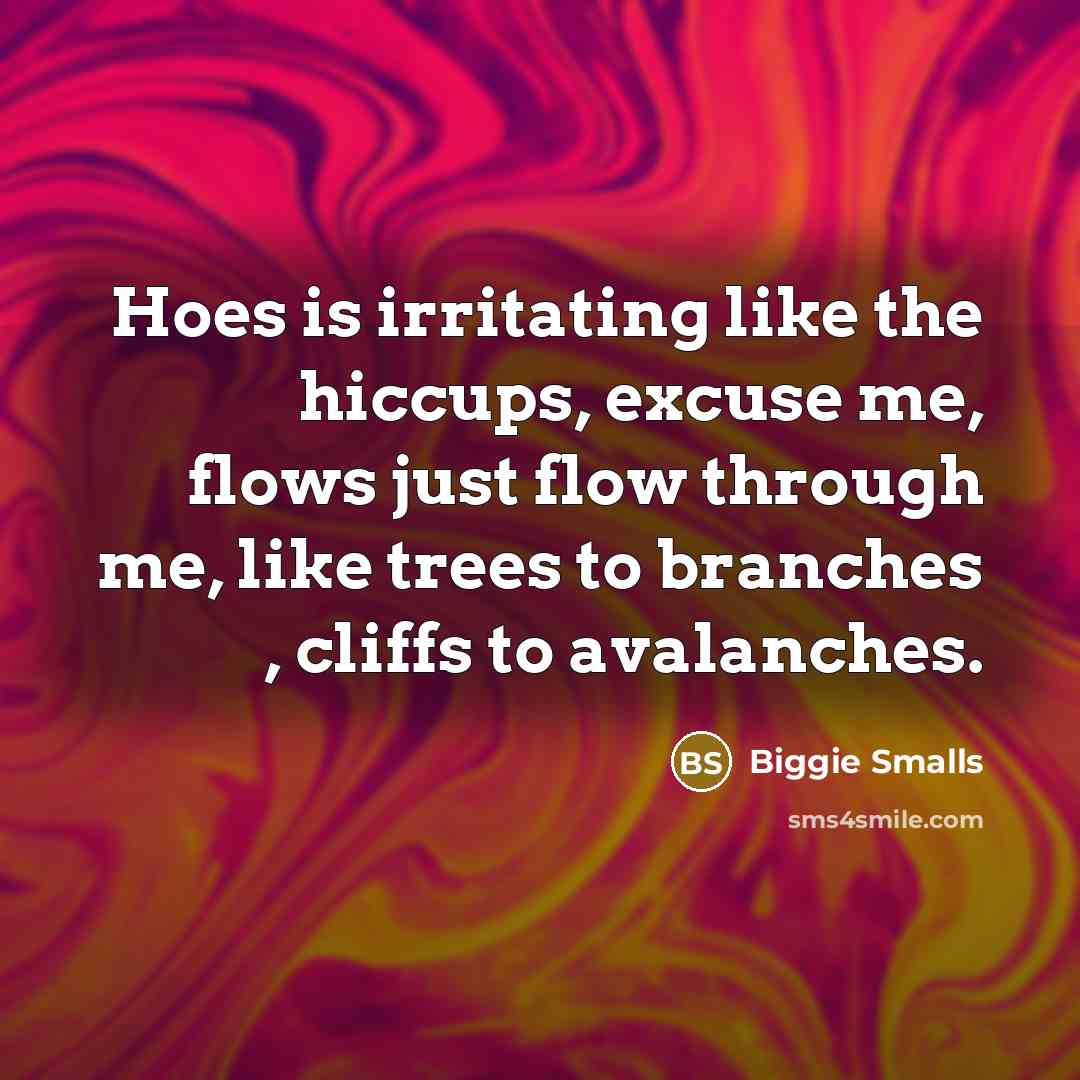 “Hoes is irritating like the hiccups, excuse me, flows just…” quote by Biggie Smalls