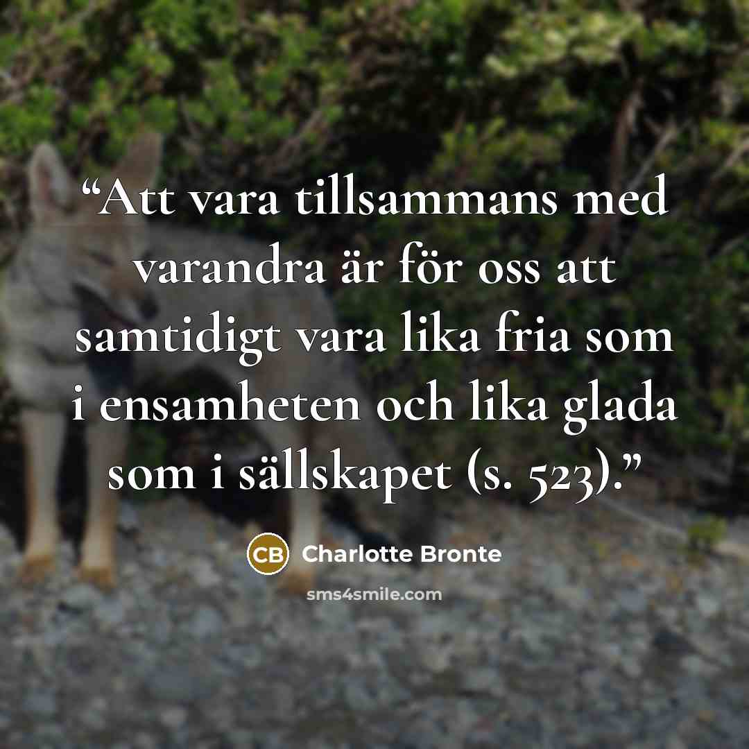 “Att vara tillsammans med varandra är för oss att samtidigt vara lika fria som i ensamheten och lika glada som i sällskapet (s. 523).” quote by Charlotte Brontë