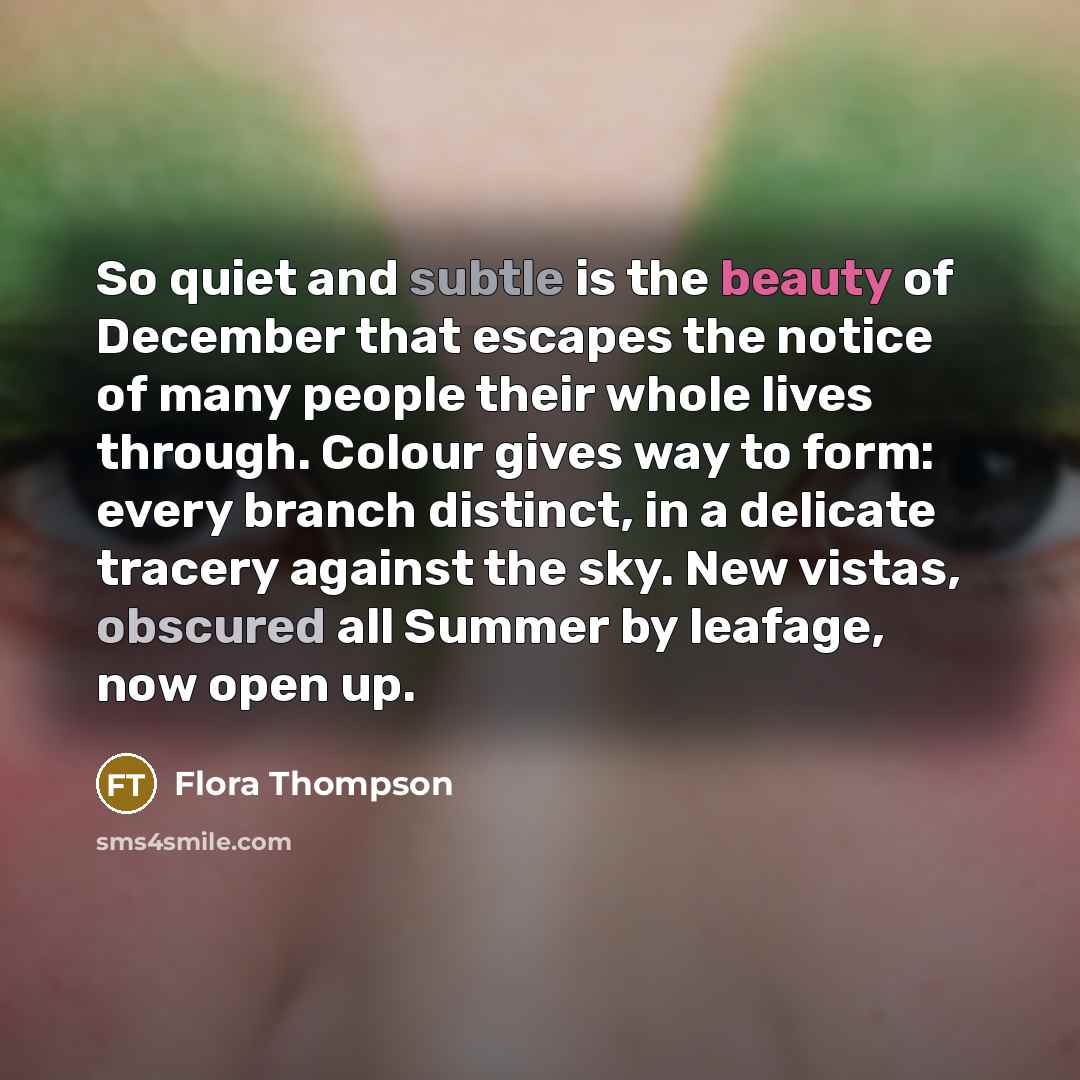 “So quiet and subtle is the beauty of December that…” quote by Flora Thompson