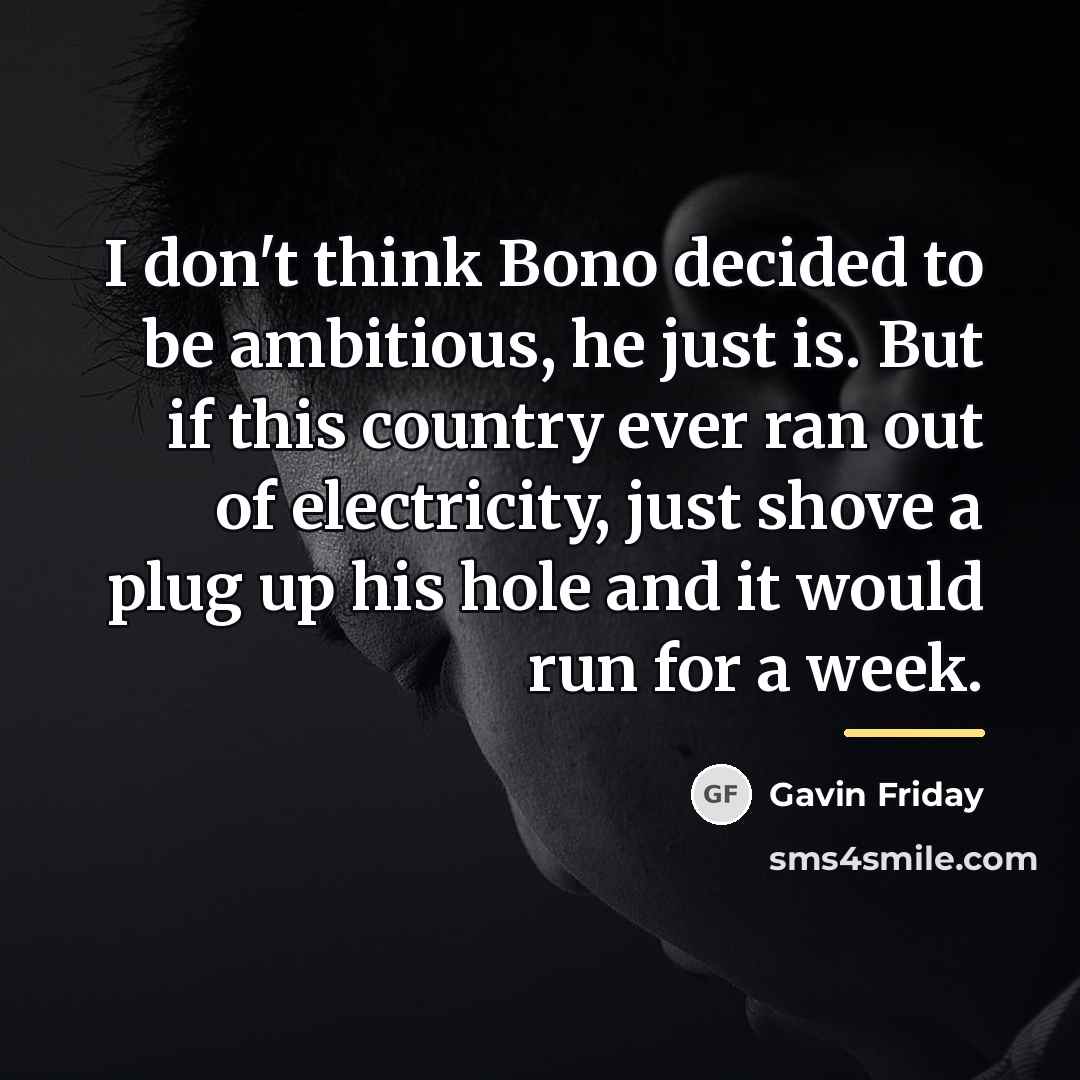 “I don't think Bono decided to be ambitious, he just…” quote by Gavin Friday