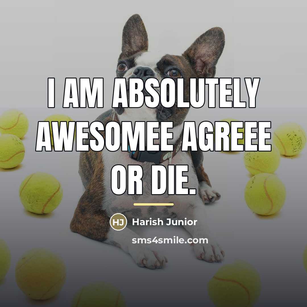“I am absolutely awesomee agreee or die.…” quote by Harish Junior