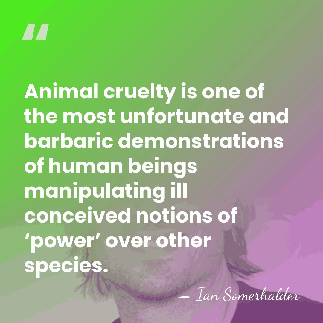 Animal cruelty is one of the most unfortunate and barbaric demonstrations of&hellip; - Ian Somerhalder