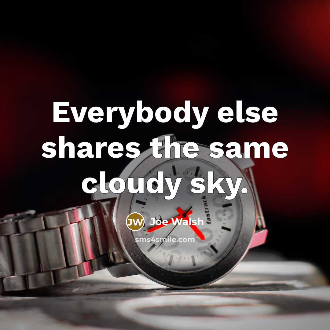 “Everybody else shares the same cloudy sky.…” quote by Joe Walsh