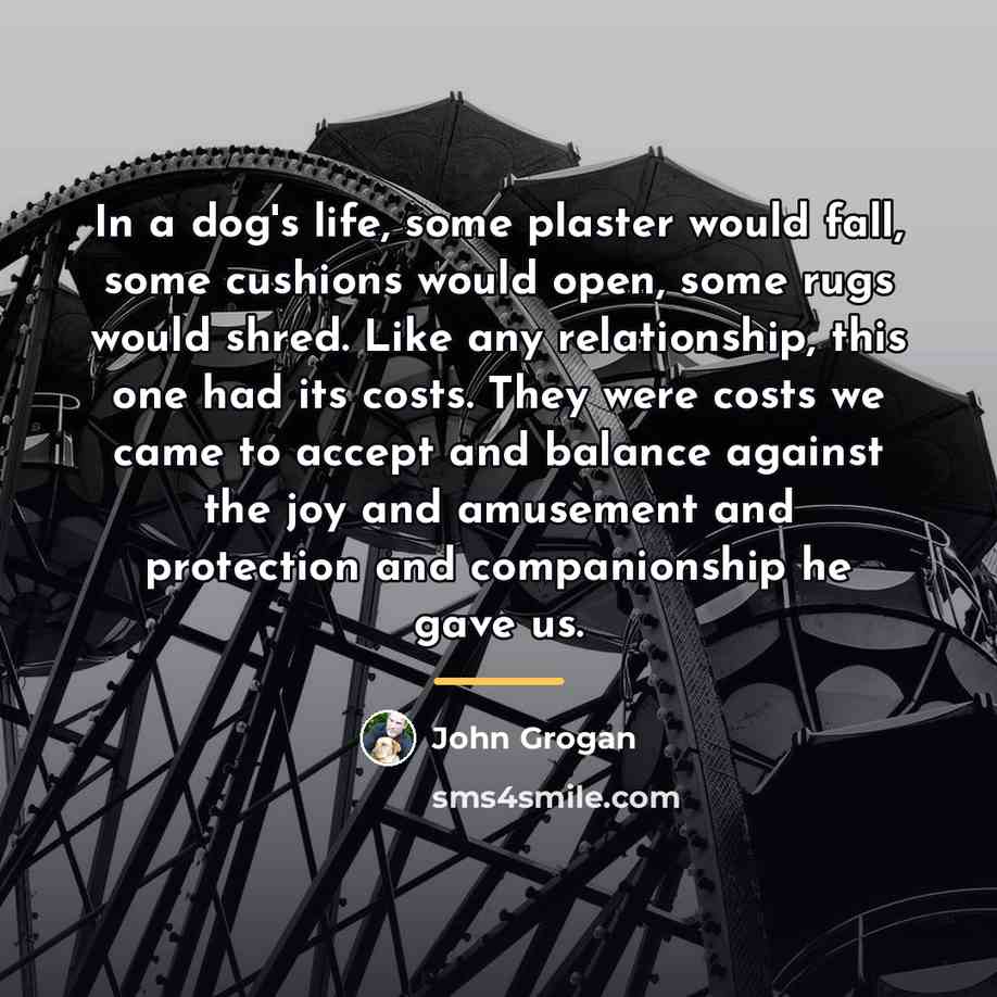 “In a dog's life, some plaster would fall, some cushions…” quote by John Grogan