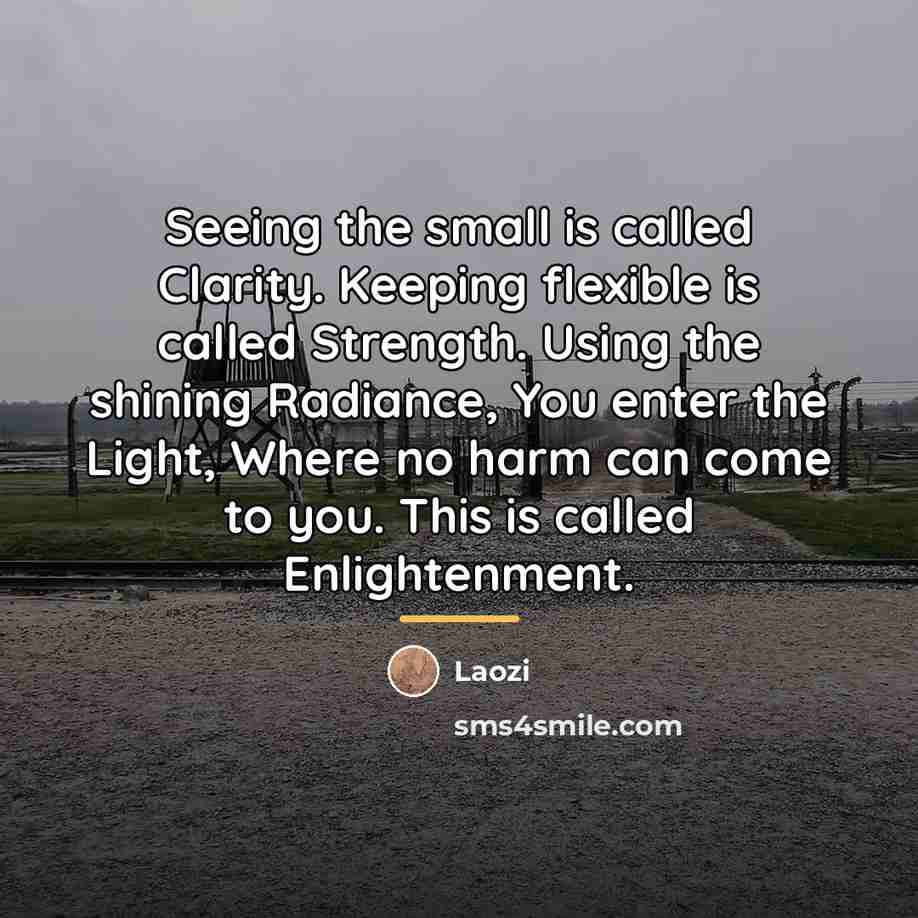 “Seeing the small is called Clarity. Keeping flexible is called…” quote by Laozi