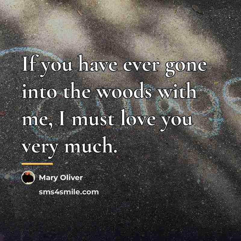 “If you have ever gone into the woods with me,…” quote by Mary Oliver