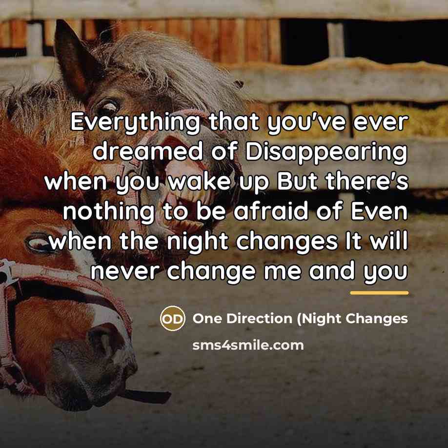 “Everything that you've ever dreamed of Disappearing when you wake…” quote by One Direction (NIght Changes