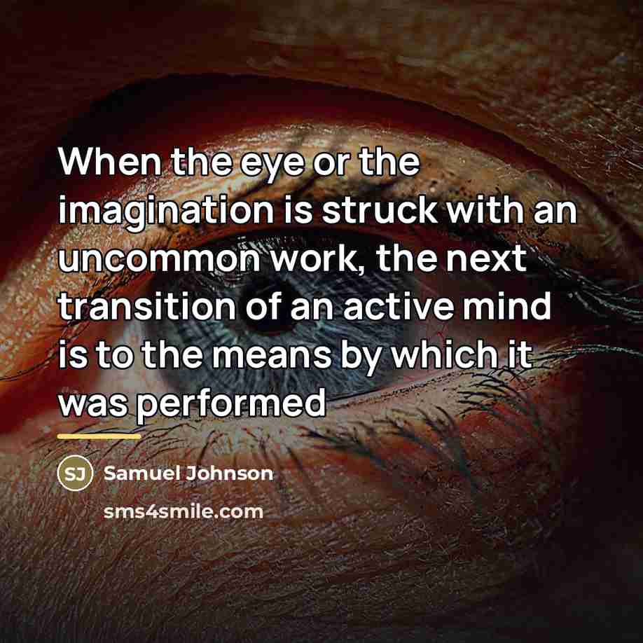 “When the eye or the imagination is struck with an…” quote by Samuel Johnson