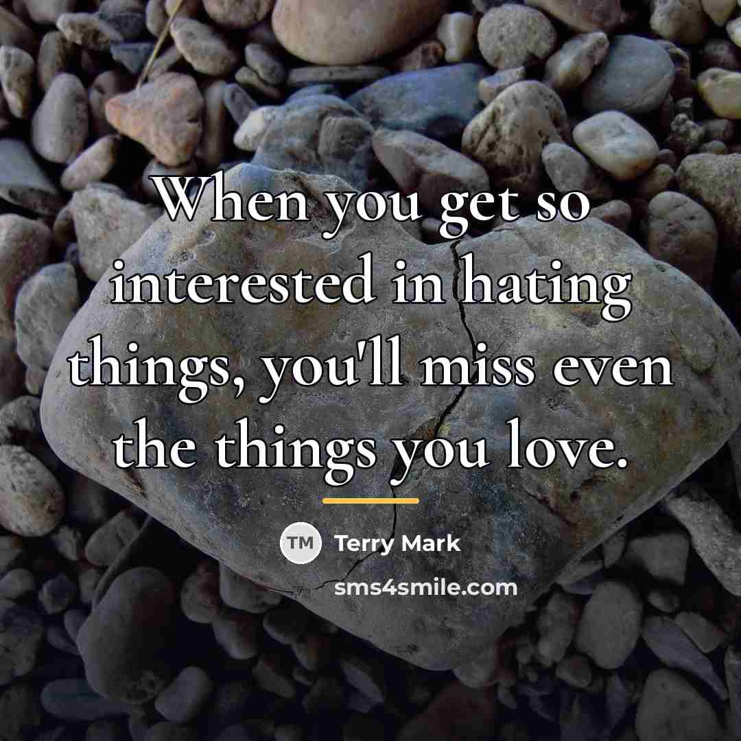“When you get so interested in hating things, you'll miss…” quote by Terry Mark
