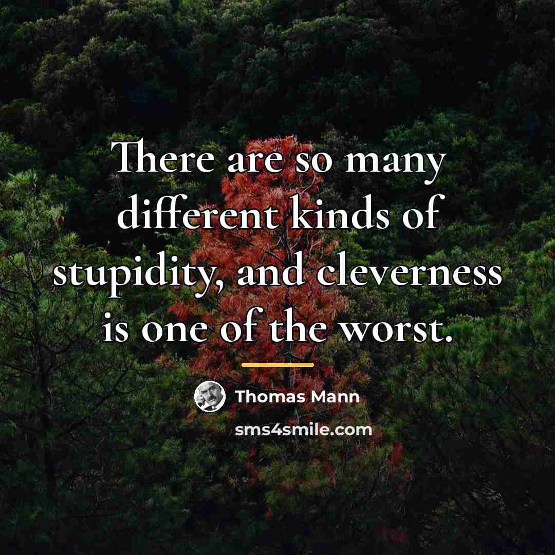 “There are so many different kinds of stupidity, and cleverness…” quote by Thomas Mann