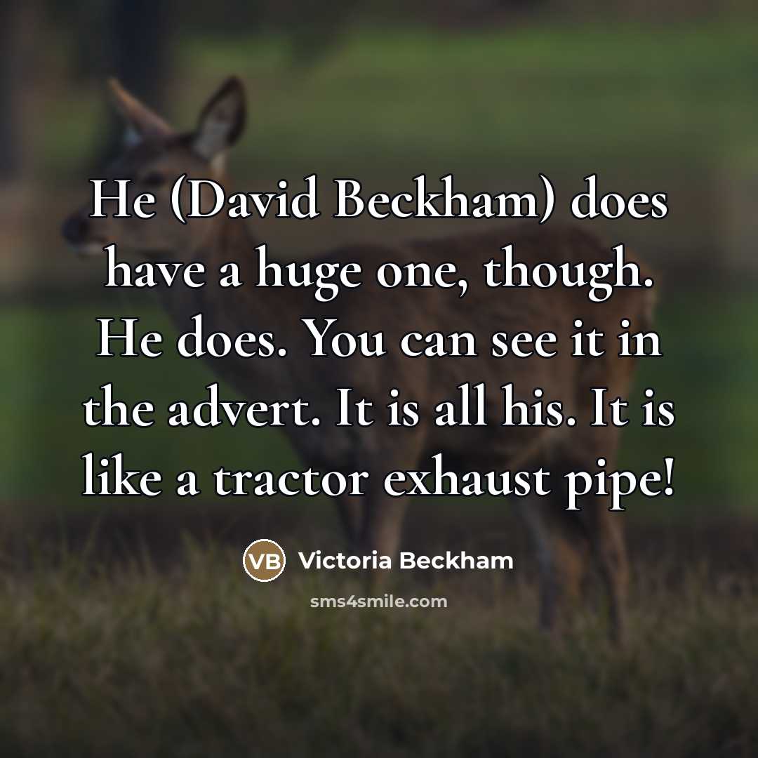 “He (David Beckham) does have a huge one, though. He…” quote by Victoria Beckham