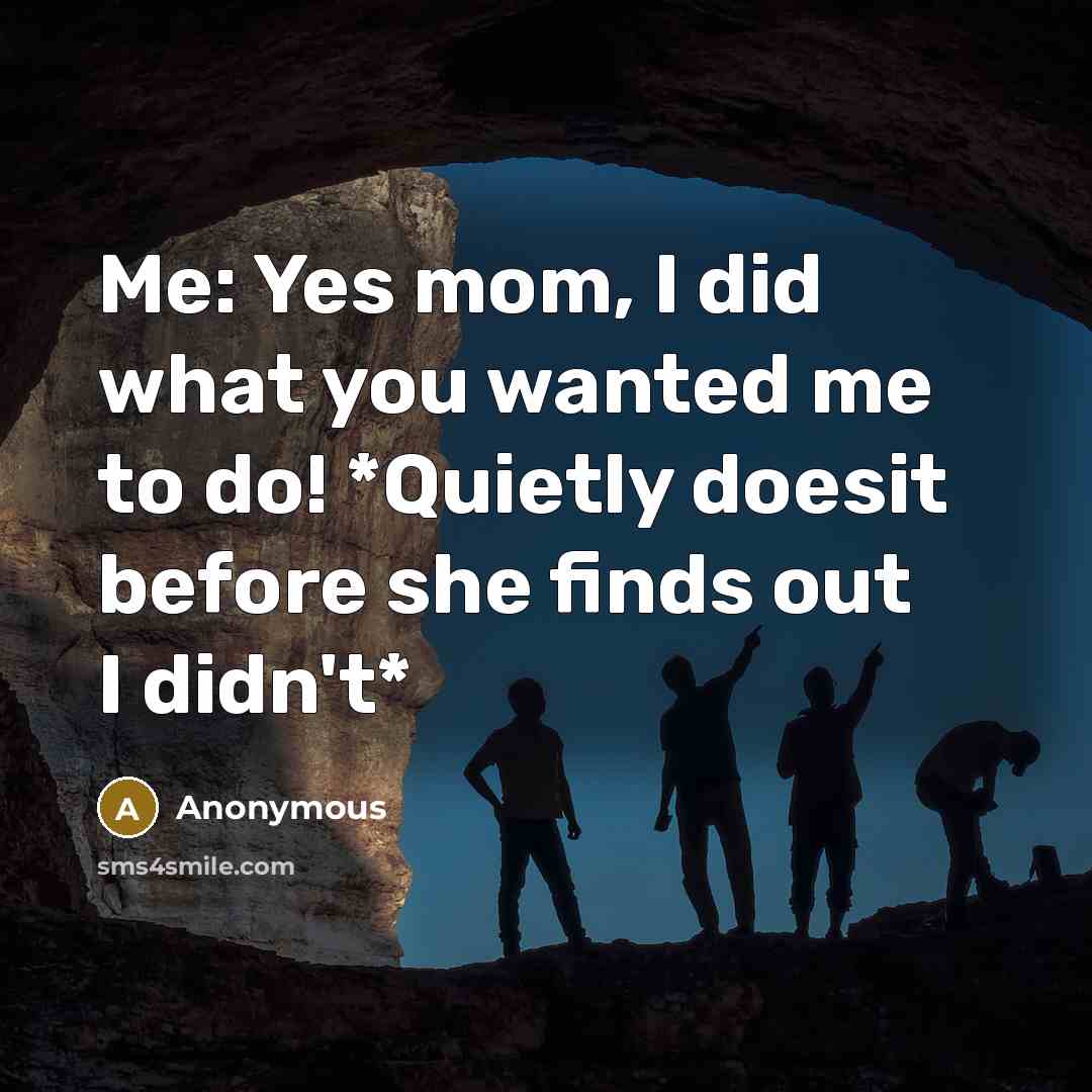 “Me: Yes mom, I did what you wanted me to…” quote by Anonymous