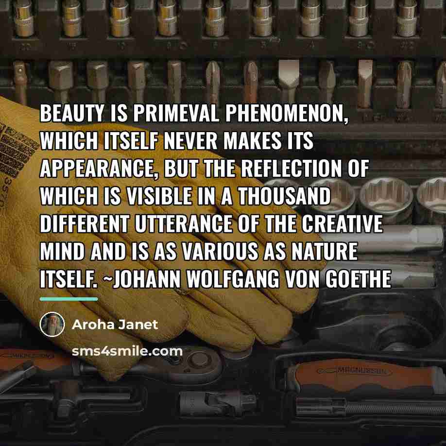 “Beauty is primeval phenomenon, which itself never makes its appearance,…” quote by Aroha Janet