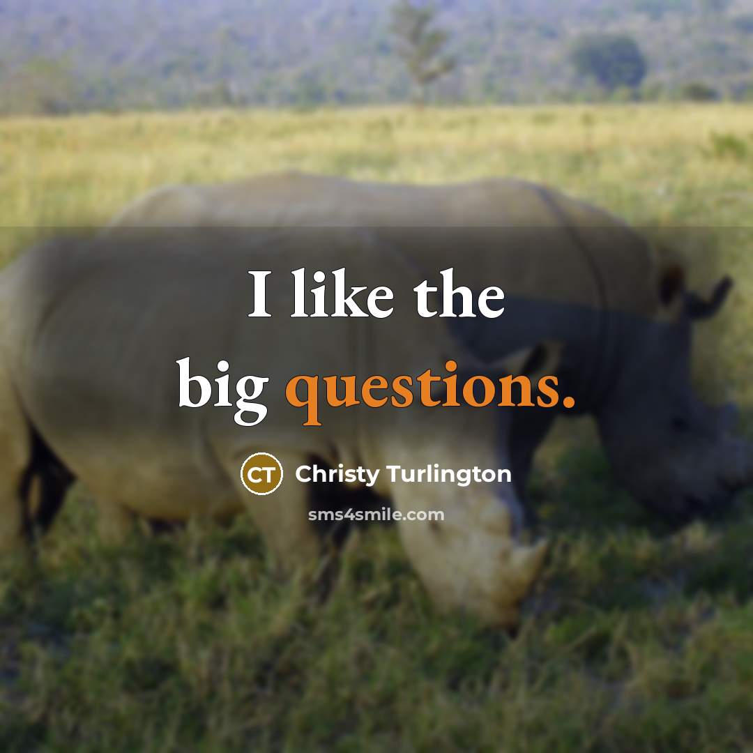 “I like the big questions.…” quote by Christy Turlington