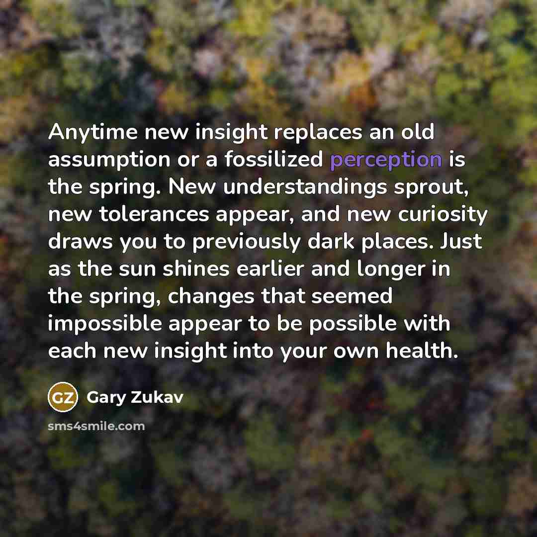 “Anytime new insight replaces an old assumption or a fossilized…” quote by Gary Zukav