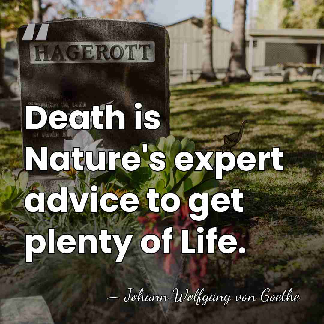 Death is Nature's expert advice to get plenty of Life. - Johann Wolfgang von Goethe